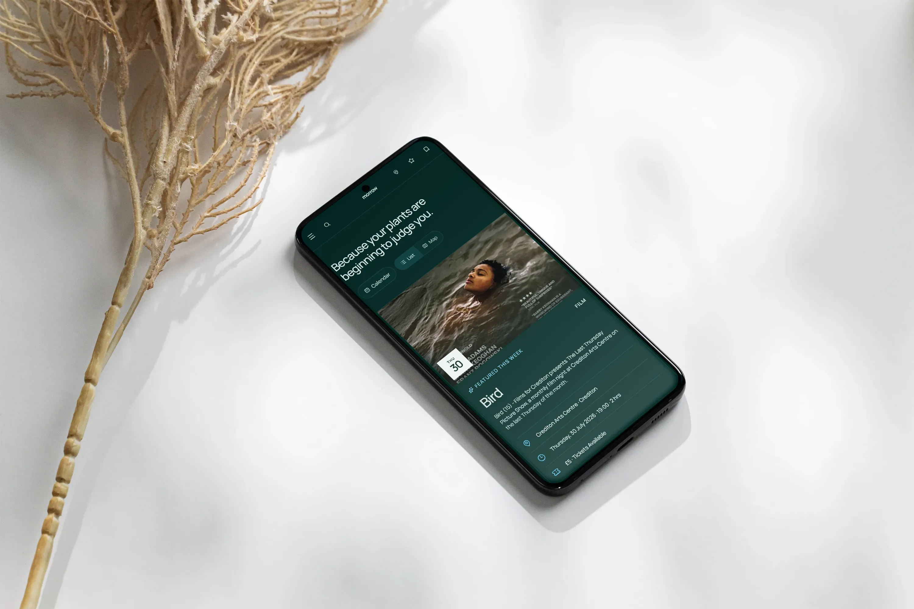 Morrow local events website displayed on a smartphone, showing the featured film Bird and its event details